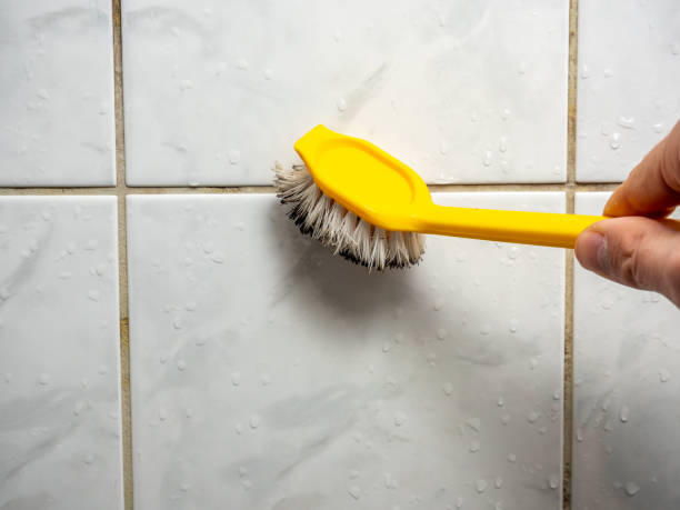 Best Mold Damage Repair  in Mineral Springs, AR