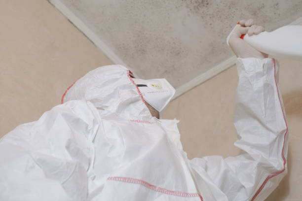Best Mold Testing  in Mineral Springs, AR